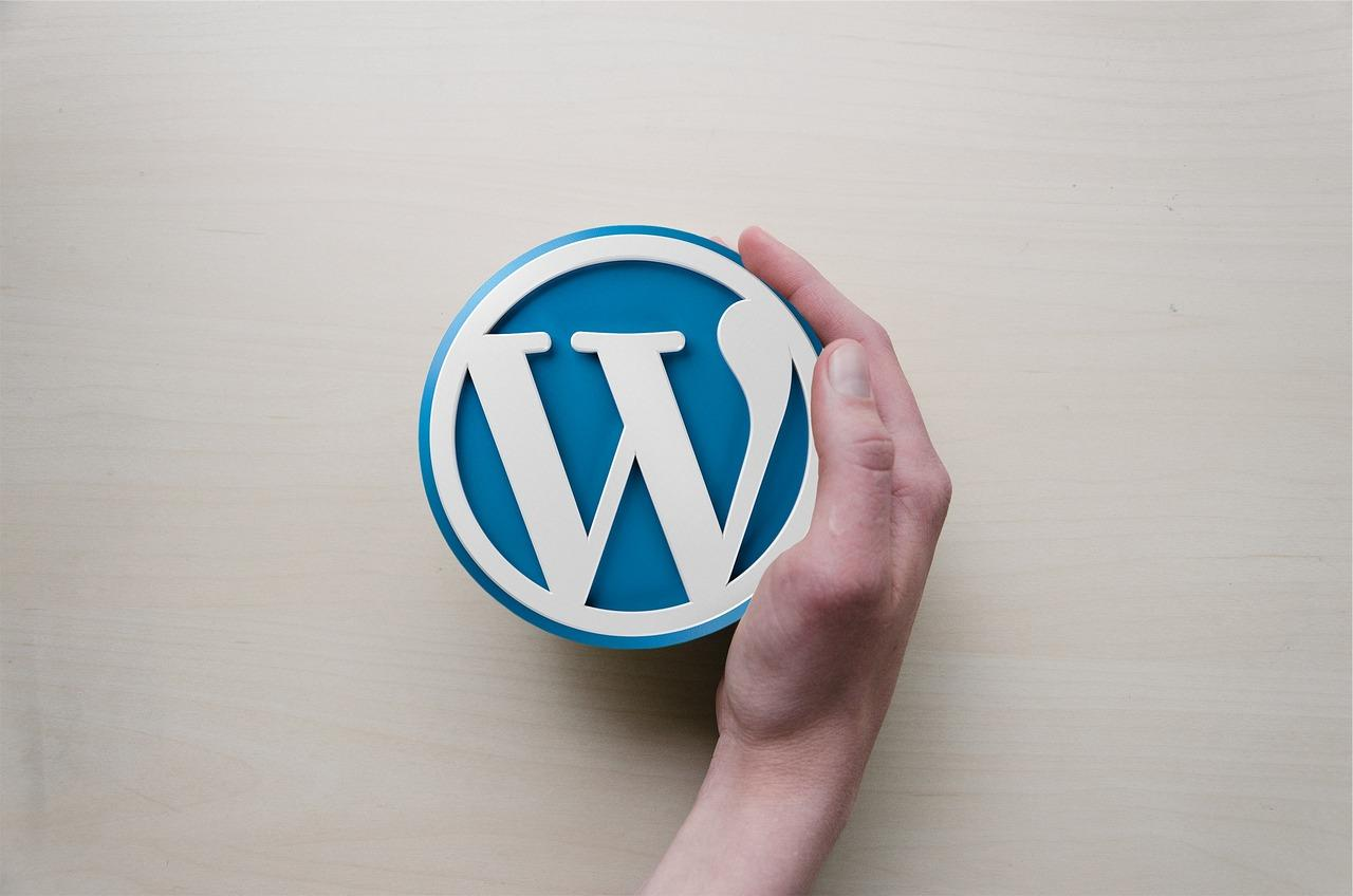 Test 2023 : decouvrez WordPress et ses alternatives pour creer un site web